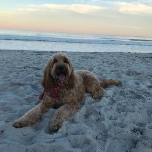 Meet your Posher, Madison